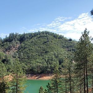 Meet your Posher, Sherry